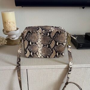 Madewell Snakeskin Crossbody Bag